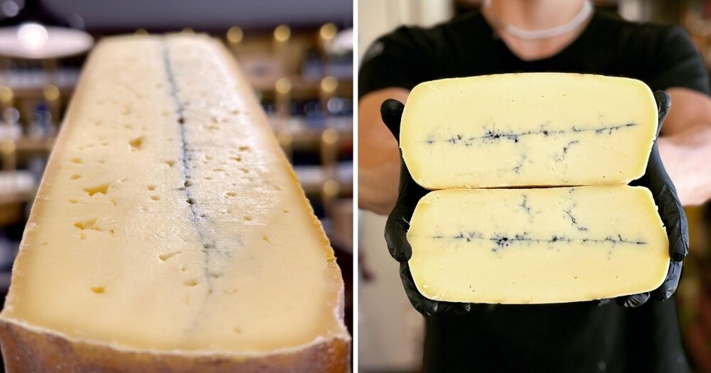 15 самых необычных разновидностей сыров