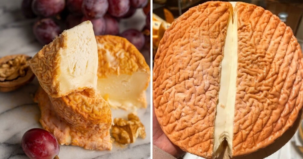 15 самых необычных разновидностей сыров