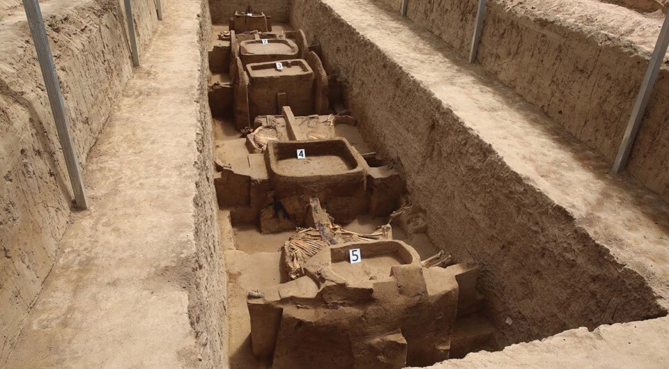 Древние колесницы с запряженными конями раскопали в Китае