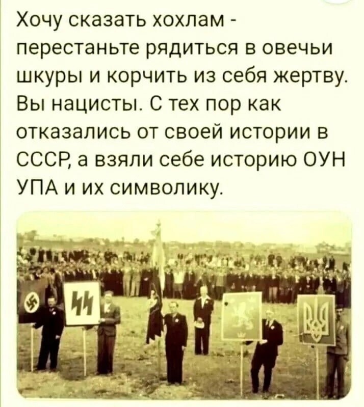 О политике и не только