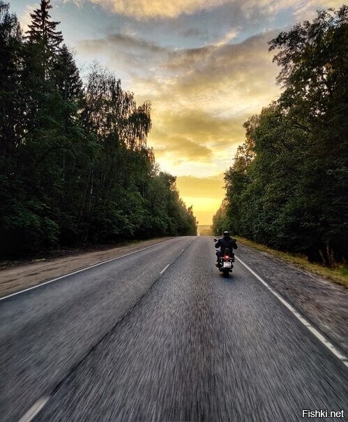 Года 3-4 назад увидел снимок в сети - мотоциклист на трассе через лес едет на...
