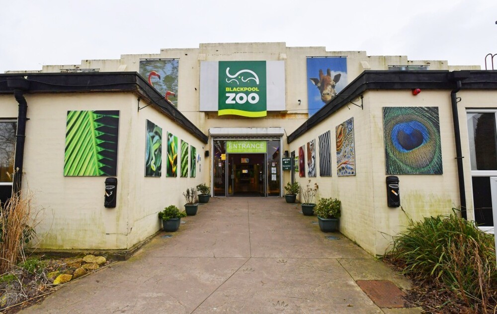 В зоопарке открылась вакансия для людей, которые будут носить костюмы птиц и пугать чаек