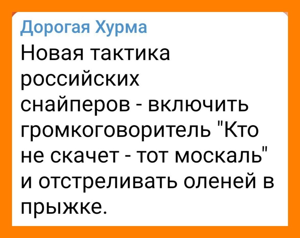 О политике и не только