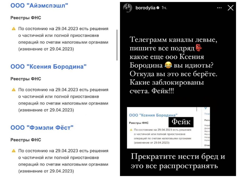ФНС заблокировала счета Самойловой и Бородиной