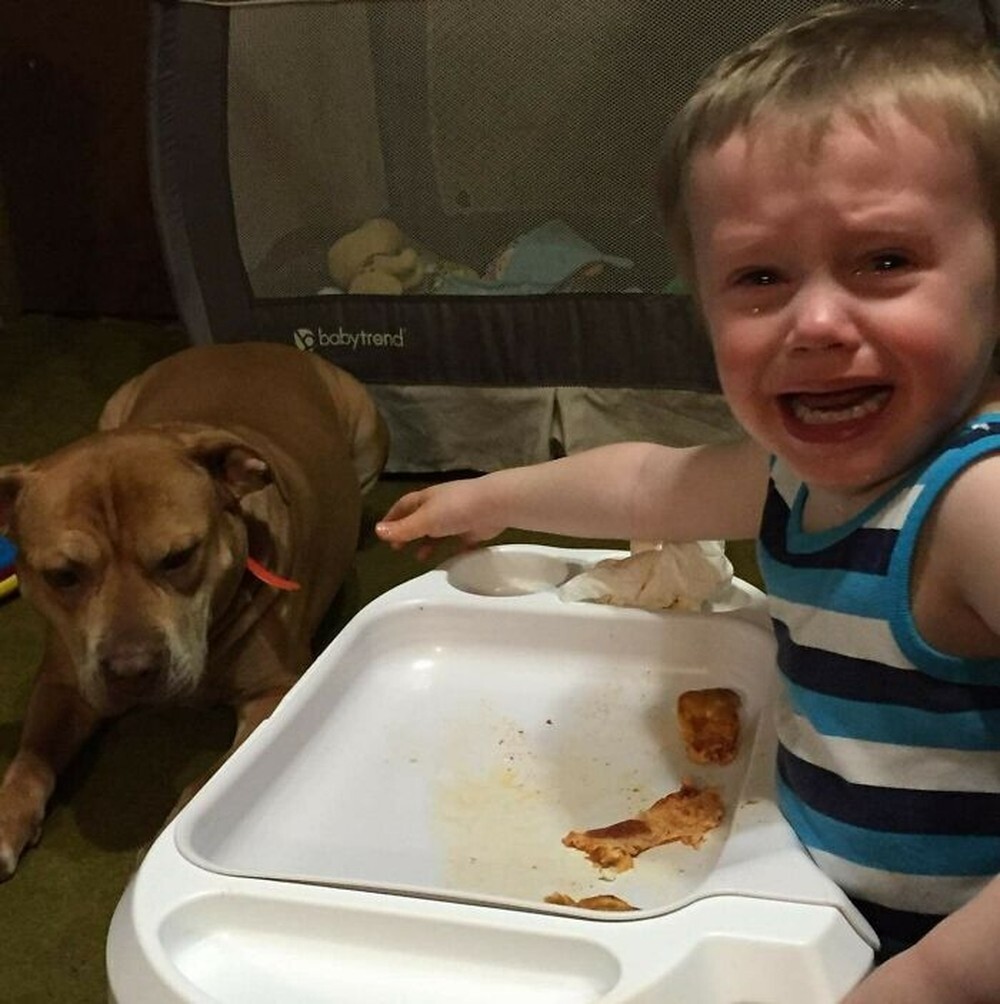 1. «Потому что он кидался едой в собаку, а та взяла и её съела»