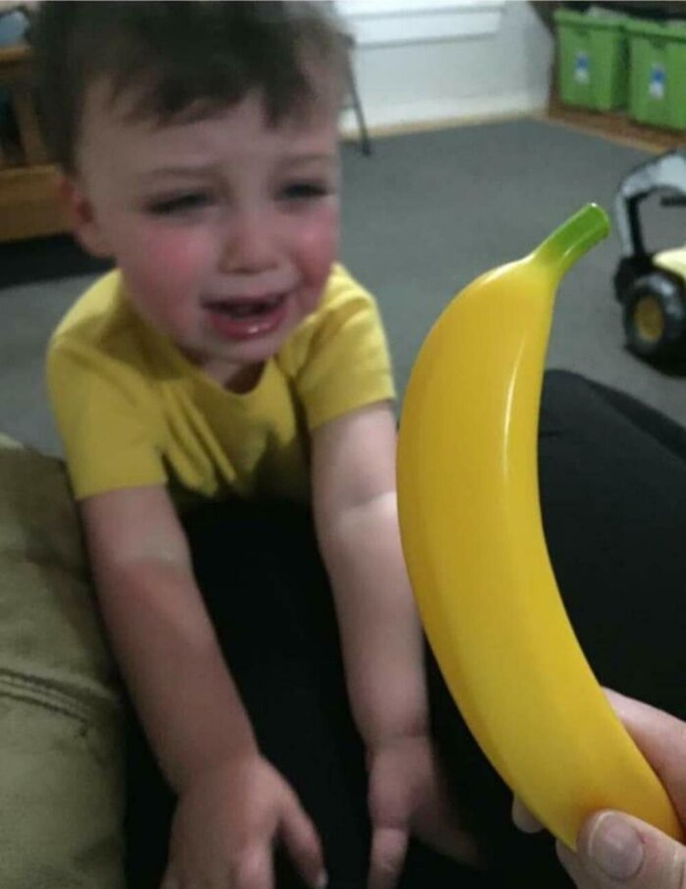 24. «Я отказался разрезать пластиковый банан»