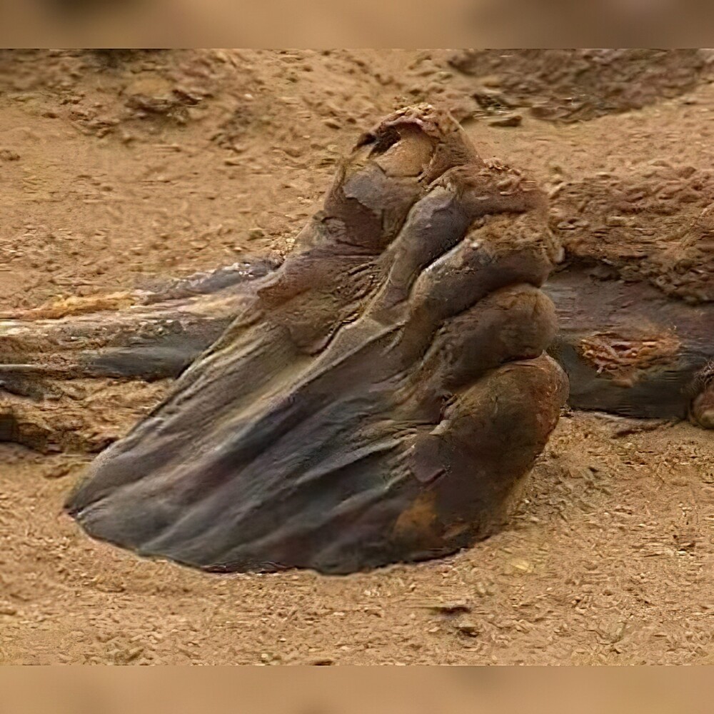 16. В песках Саккары (Египет) обнаружена древняя мумифицированная ступня