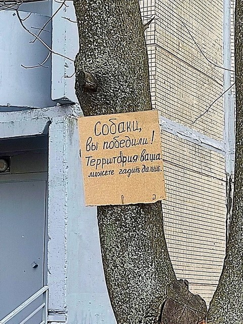 ФотоВсячина