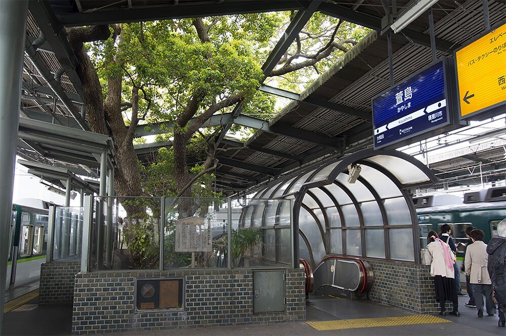 5. В северо-восточном пригороде Осаки железнодорожная станция  Каясима построена вокруг 700-летнего дерева