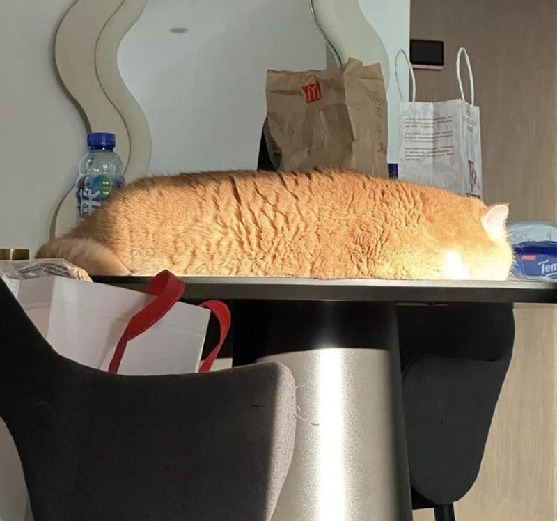 Запретный поджаренный хлеб