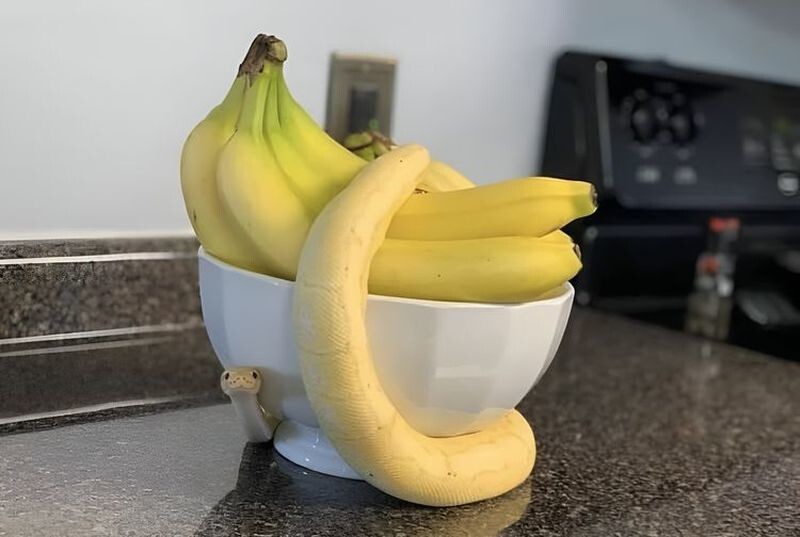 Ползающий банан