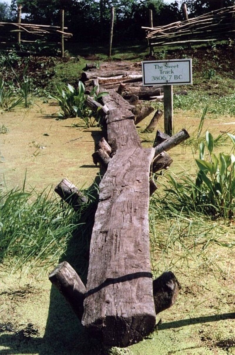 Деревянная дорога, построенная почти 6000 лет назад
