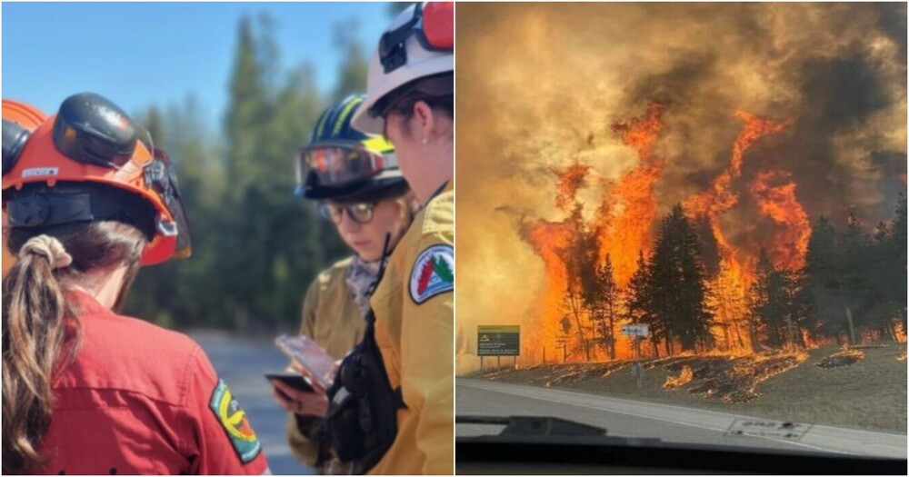 В Канаде дамы-пожарные спалили лес, доказывая, что они лучше мужчин
