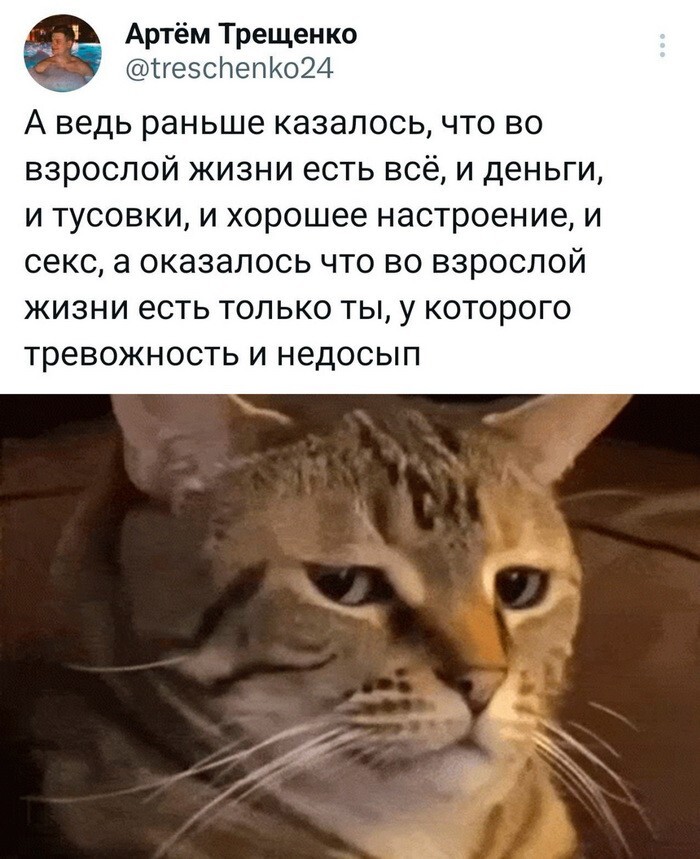 Скрины из соцсетей 