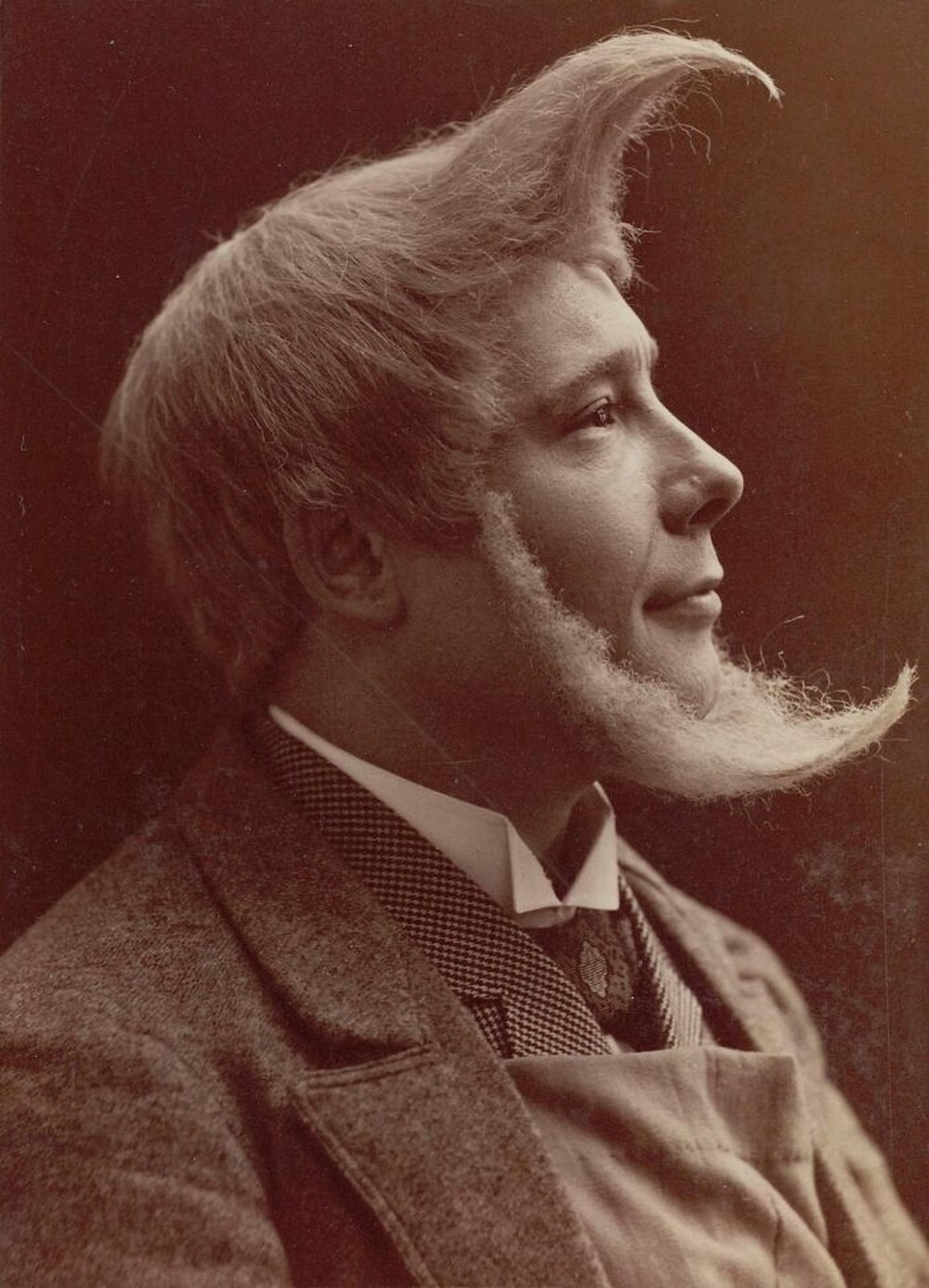 24. Прическа и борода «Человек на Луне», 1895 год