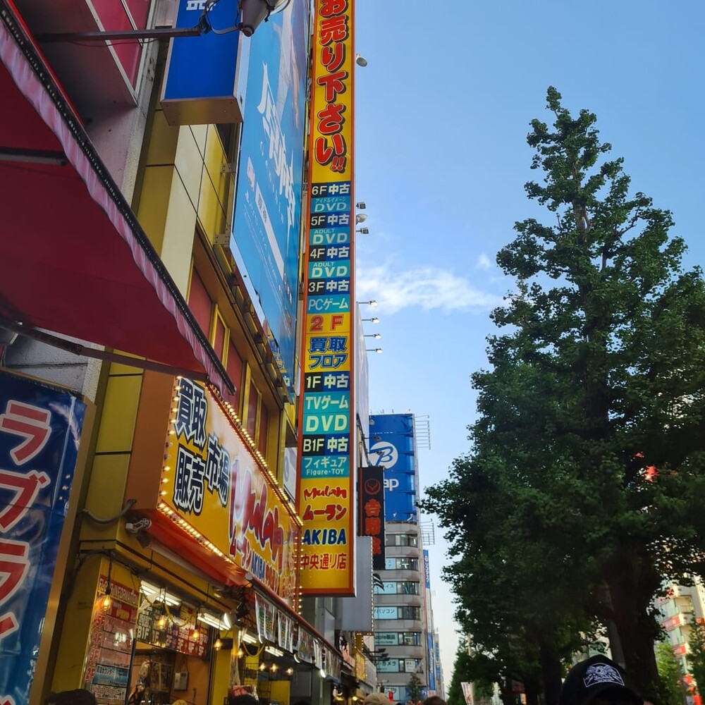 5. В Японии много магазинов, что вывески делают чаще вертикальные 