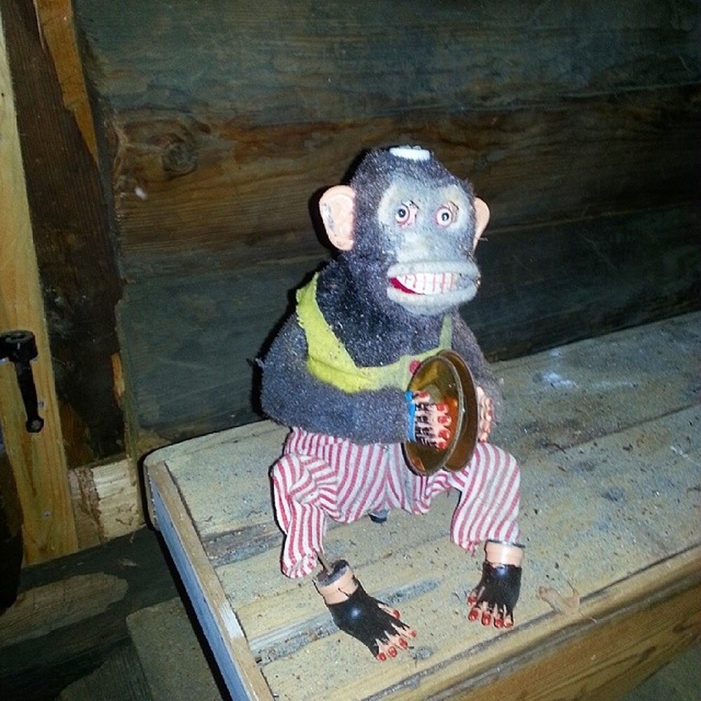 10. «Итак, я нашел на чердаке эту обезьяну»