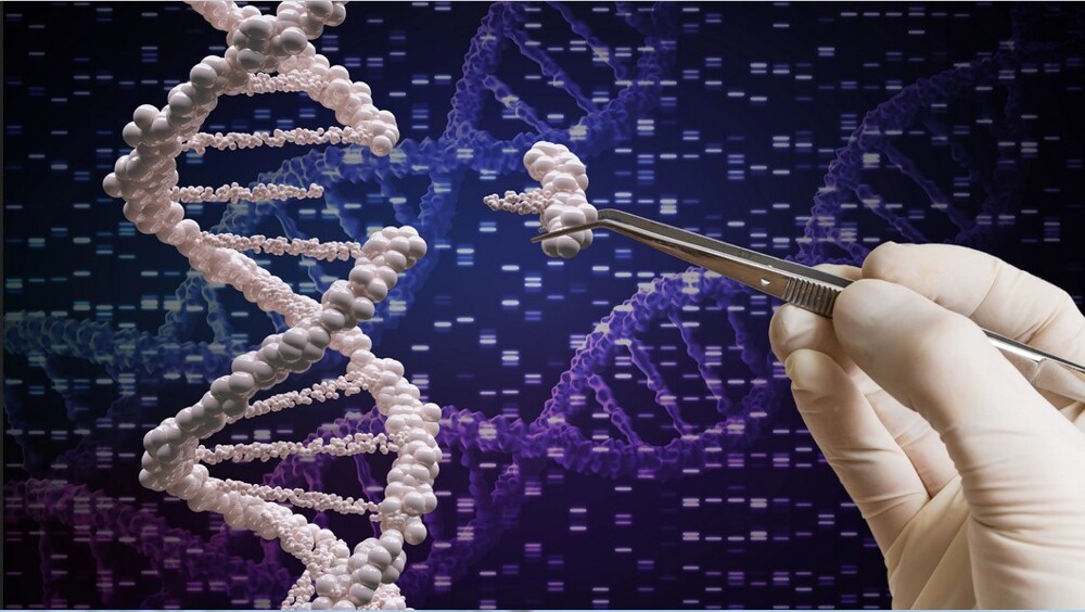 Для хранения данных на ДНК предложены крошечные капсулы — это снизит уровень ошибок и защитит от потерь информации
