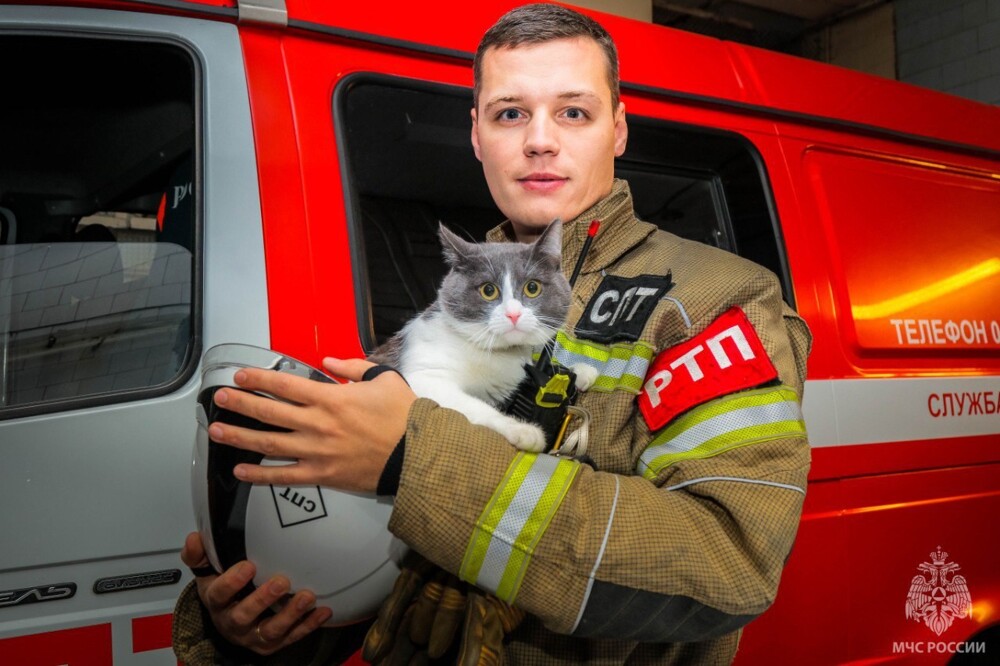 Первый в России отряд кошек-пожарных сформировали в МЧС