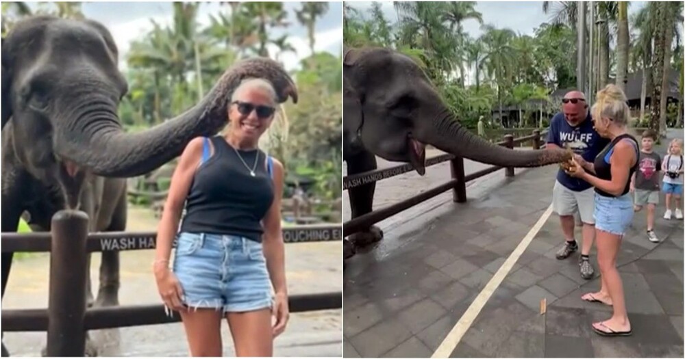 На Бали слон одним укусом сломал туристке руку
