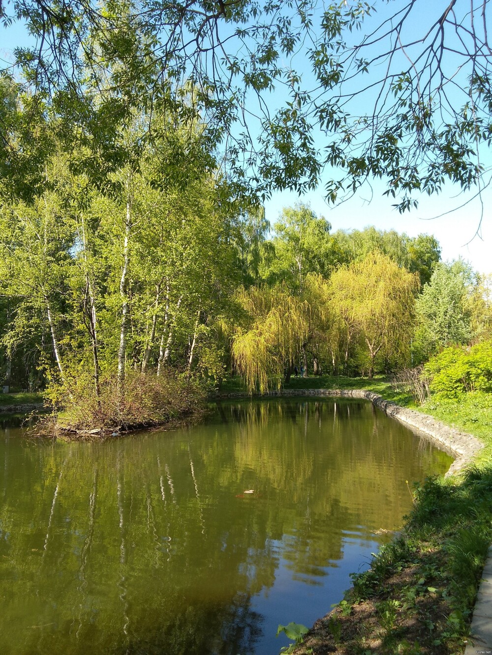 Парк Сокольники сегодня
