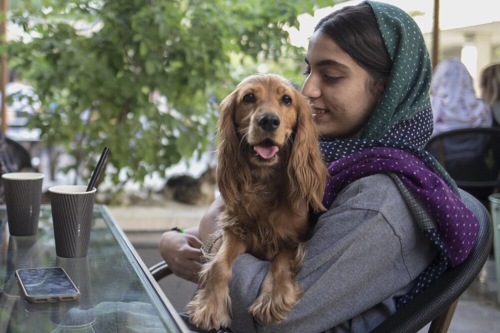 Очередная дичь или почему в Иране запрещают домашних собак
