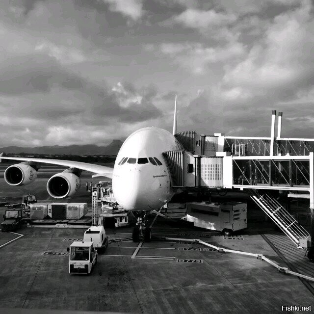 Emirates A380 в Домодедово