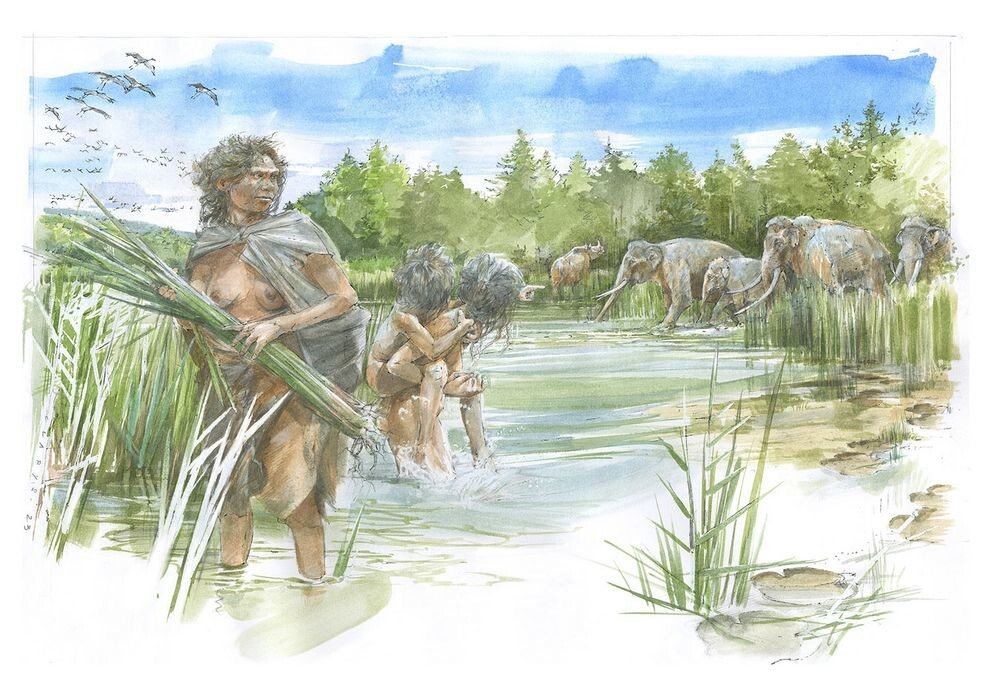 В Германии нашли самые древние следы человека: им около 300 000 лет