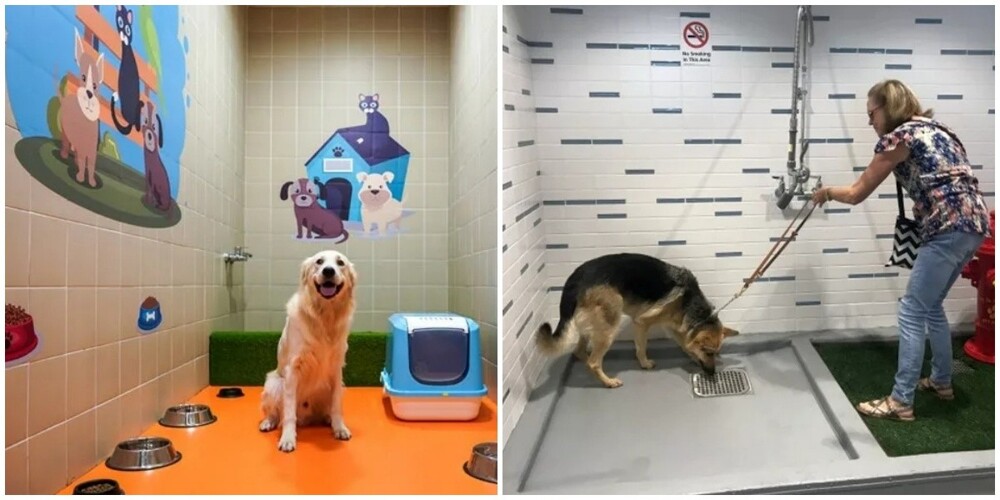 В новом аэропорту Стамбула есть специальный туалет для домашних животных