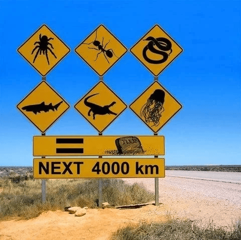 Берегитесь фей, аборигенов и котов на велосипедах: 18 странных предупреждающих знаков