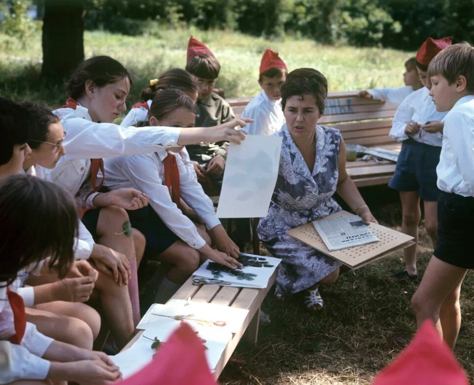 В пионерском лагере имени А. Гайдара, во время занятия по составлению гербариев, 1973 год