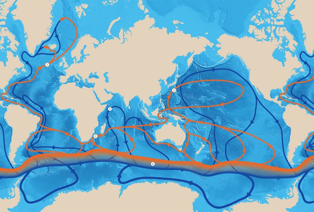 6. Океан — самый большой термостат в мире