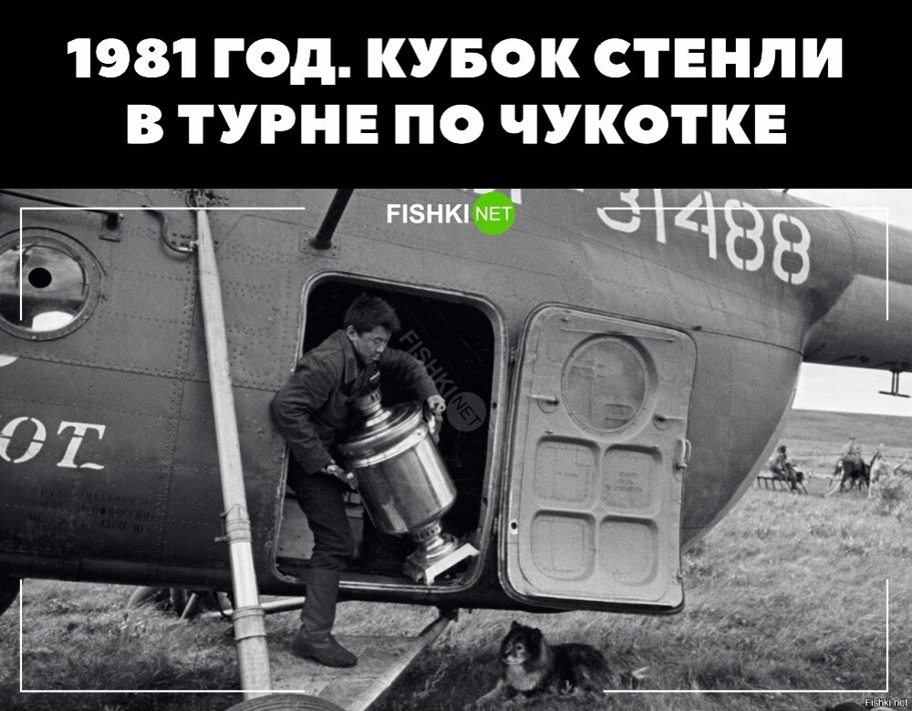 Фотоприколы и прикольные картинки