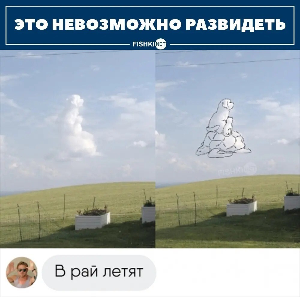 Трудно развидеть