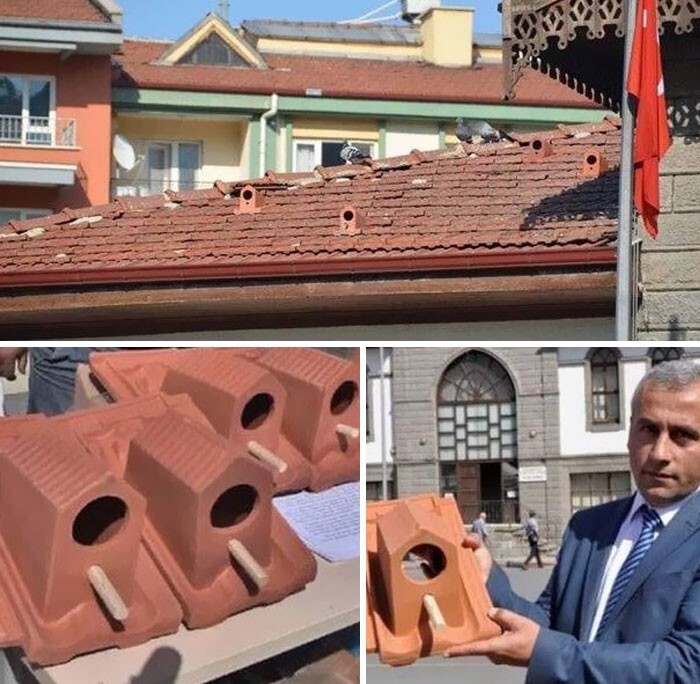 8. Турецкая компания изготавливает черепицу для крыши, в которой могут жить птицы