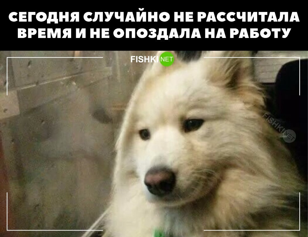 Случайно не рассчитала