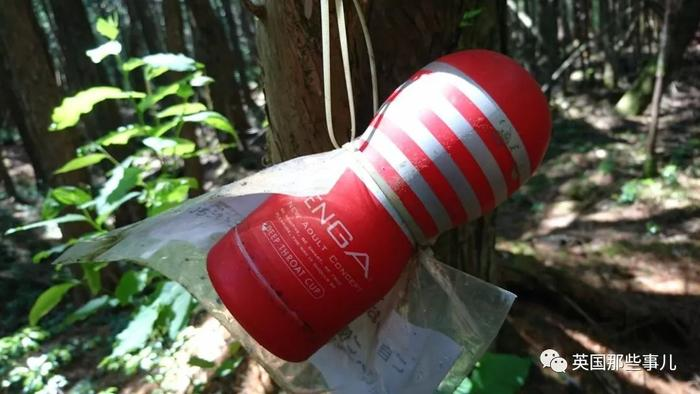В Японии неизвестный развесил мастурбаторы в лесу самоубийц