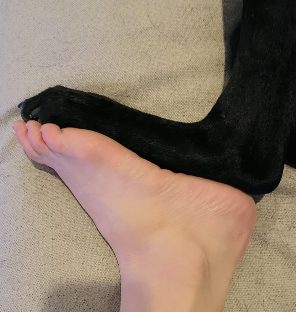 9. У нас с моей собакой одинаковый размер ноги