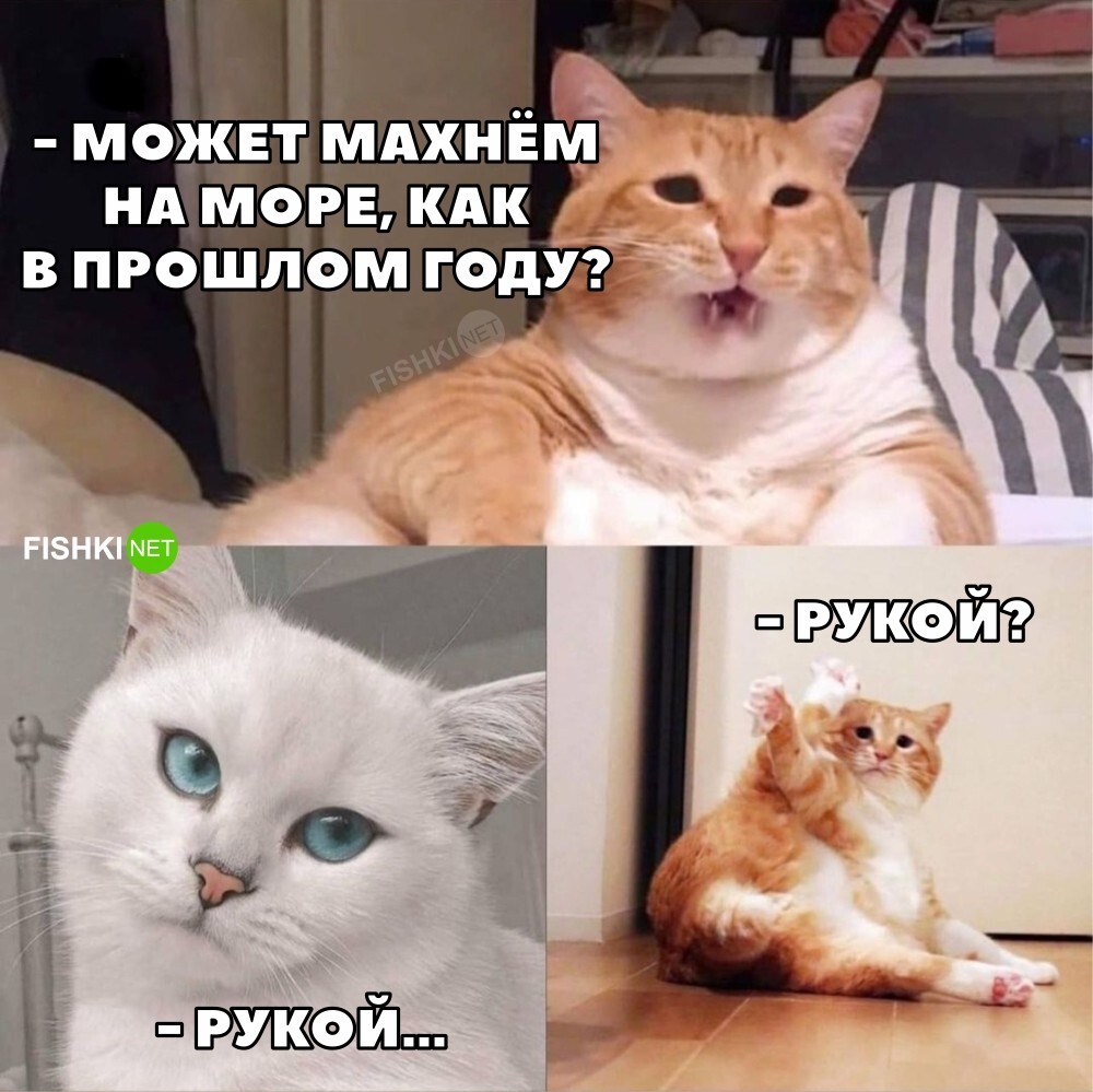 Махнём на море?