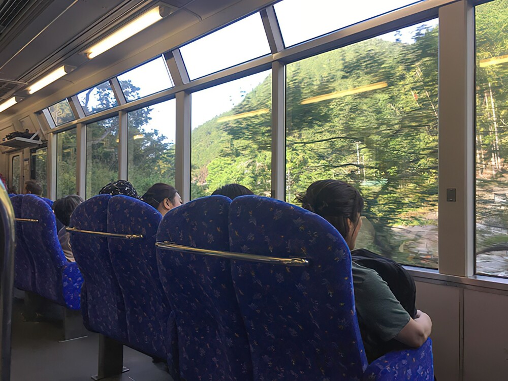 10. Поезд в Японии с пассажирскими местами с видом на пейзаж 