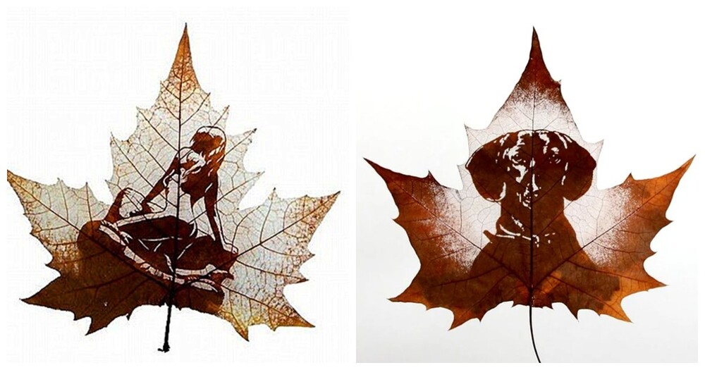 Древесно-культурный код: листья как объект искусства