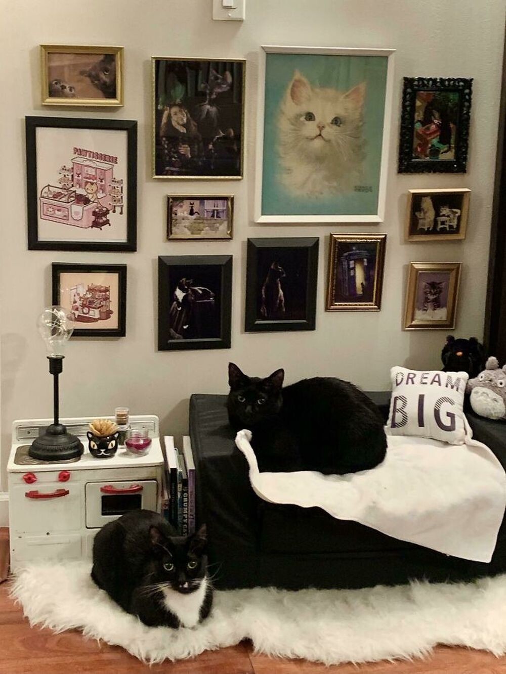 18. «У моих котов своя собственная мини-квартира»