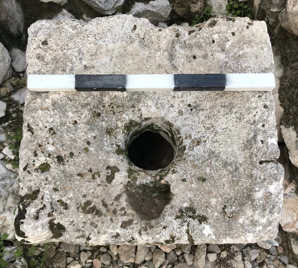В иерусалимских туалетах нашли древнейшие случаи заражения кишечными лямблиями