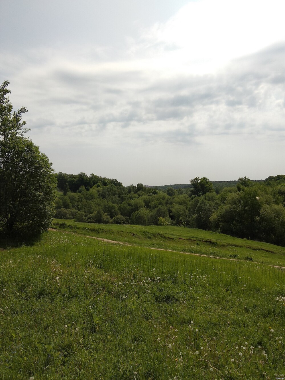 Вид из парка Царицыно на Бирюлёвский дендропарк