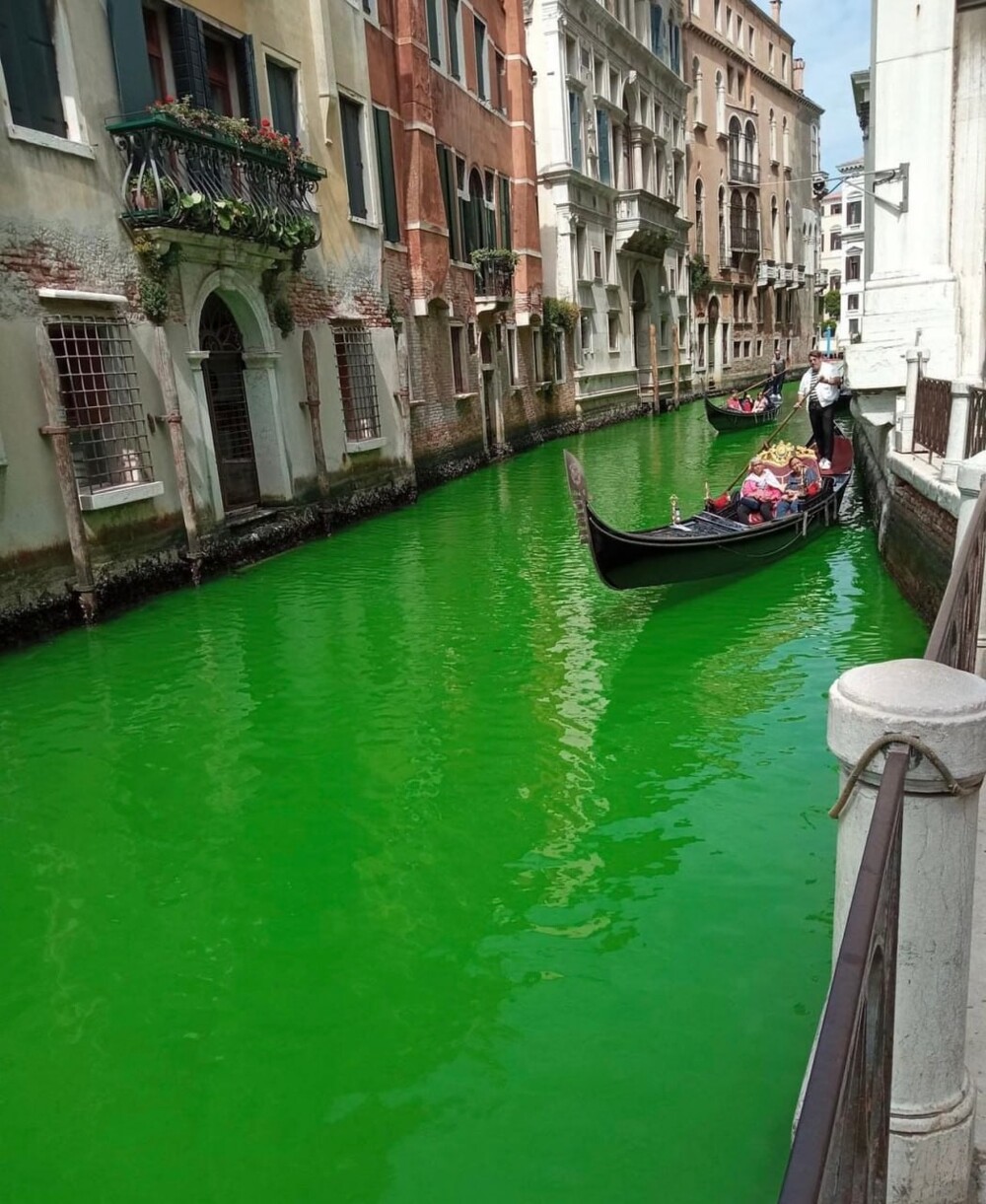 "Экошизики" выкрасили воды Гранд-канала Венеции в зелёный цвет
