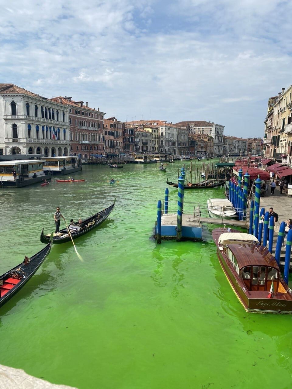 "Экошизики" выкрасили воды Гранд-канала Венеции в зелёный цвет