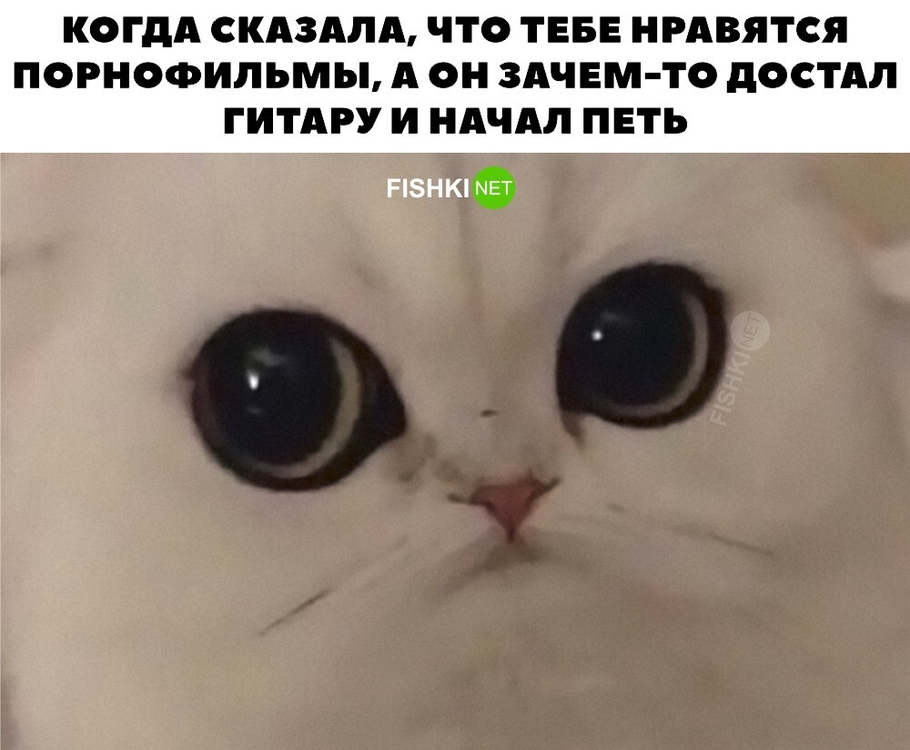 Опять не угадал