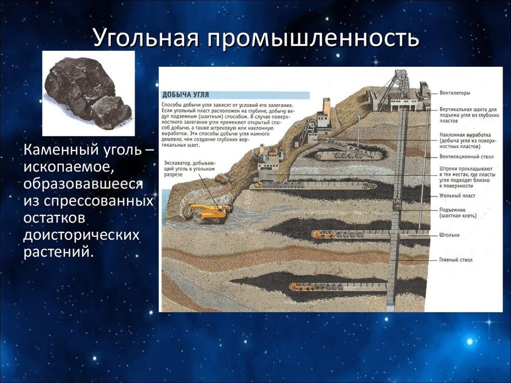 Происхождение угля остается загадкой