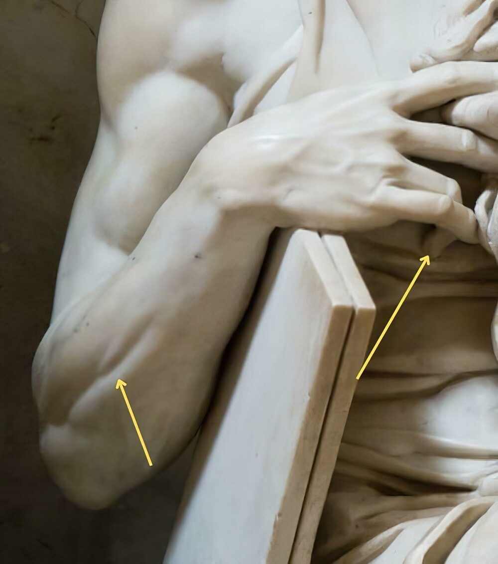 11. В предплечьях есть крошечная мышца, которая сокращается только при поднятии мизинца. Моисей (скульптура Микеланджело) поднимает мизинец, поэтому эта мышца сокращается. Невероятное внимание к деталям!
