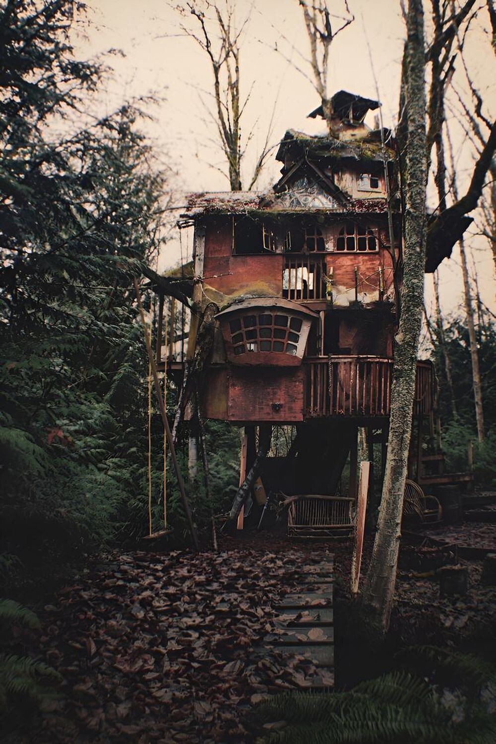 Старый домик на дереве